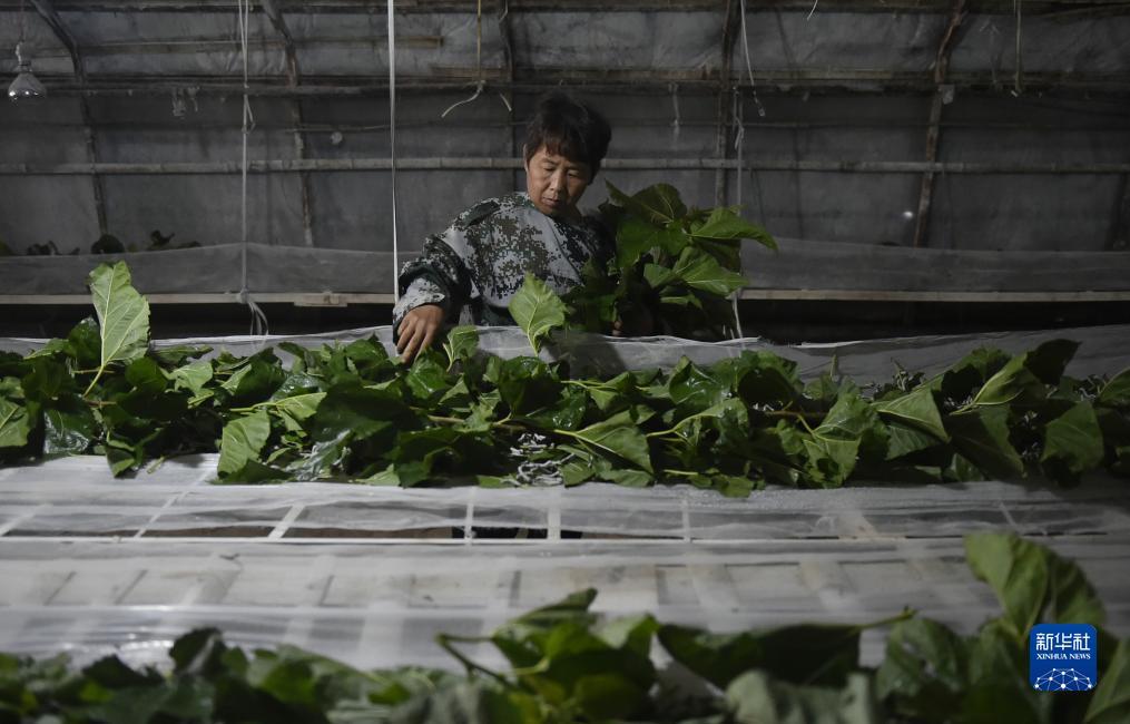 合乐888官网登录